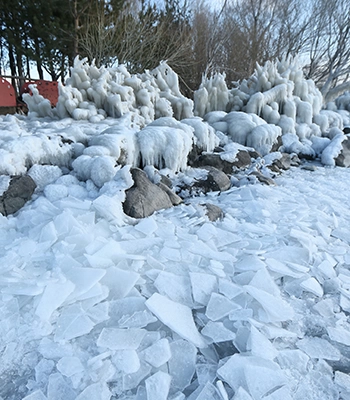 Ağrı, Kars ve Ardahan'da sulak alanlar buz tuttu, ağaçları kırağı kapladı