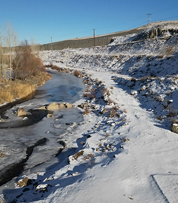 Ardahan ve Ağrı'da nehir ile dereleri buz, ağaçları kırağı kapladı