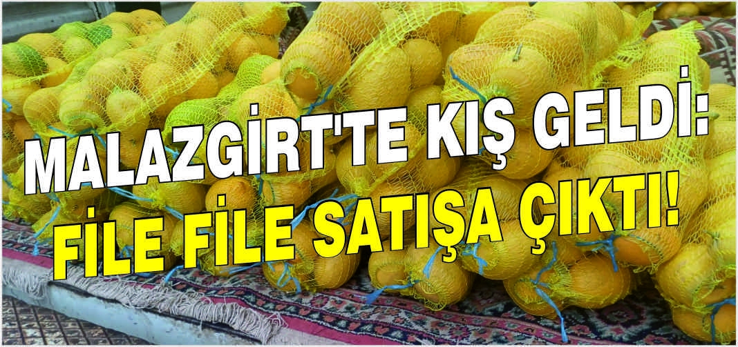 Malazgirt'te kış geldi: File file satışa çıktı!