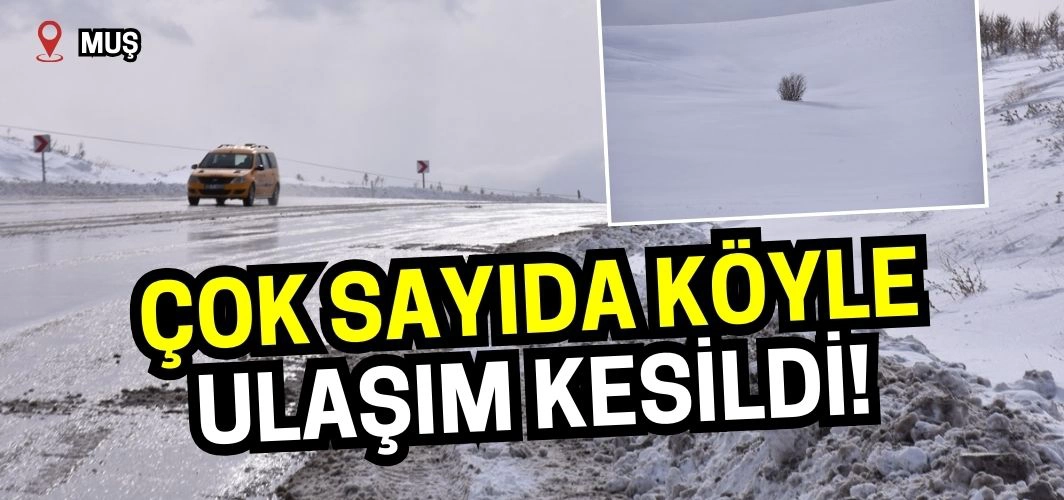 Muş'ta çok sayıda köyle ulaşım kesildi!