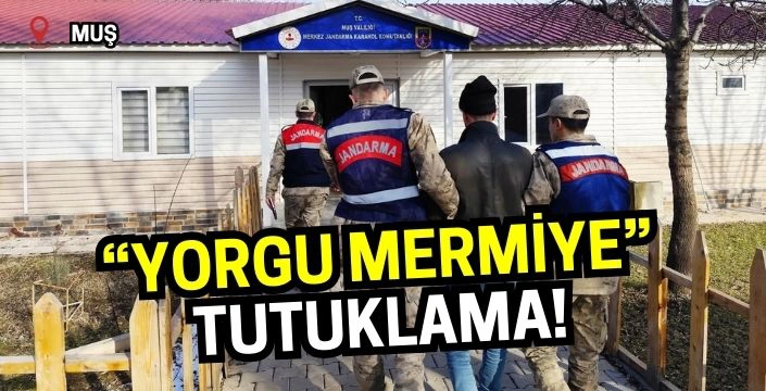 Muş'ta 'yorgun mermi'ye tutuklama kararı çıktı!