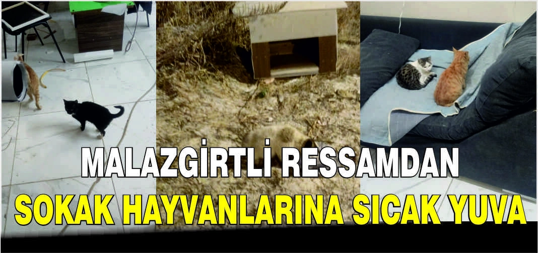 Malazgirtli Ressamdan sokak hayvanlarına sıcak yuva