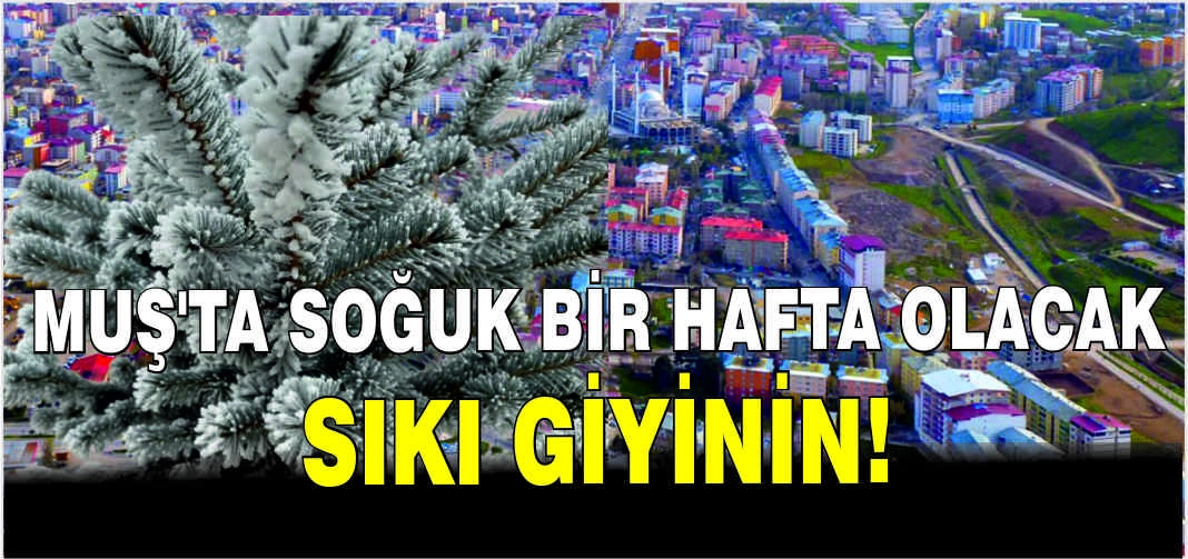 Muş'ta soğuk bir hafta bekleniyor: Sıkı giyinin!