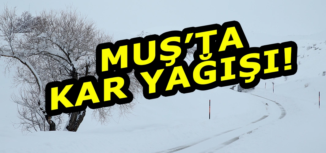 Muş’ta kar yağışı: 59 Köy yolu kapandı!