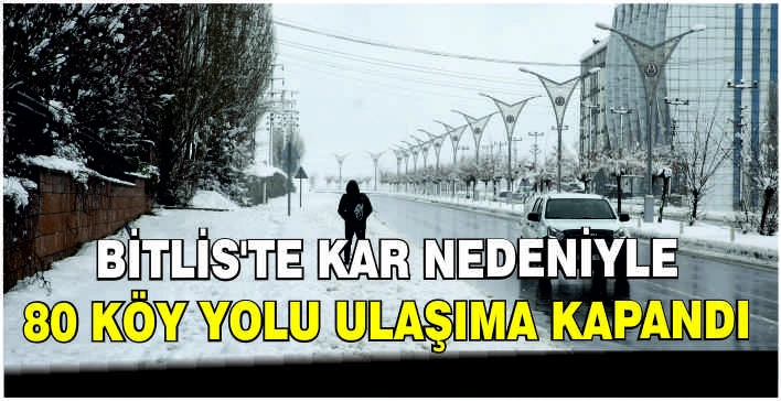 Bitlis'te kar nedeniyle 80 köy yolu ulaşıma kapandı