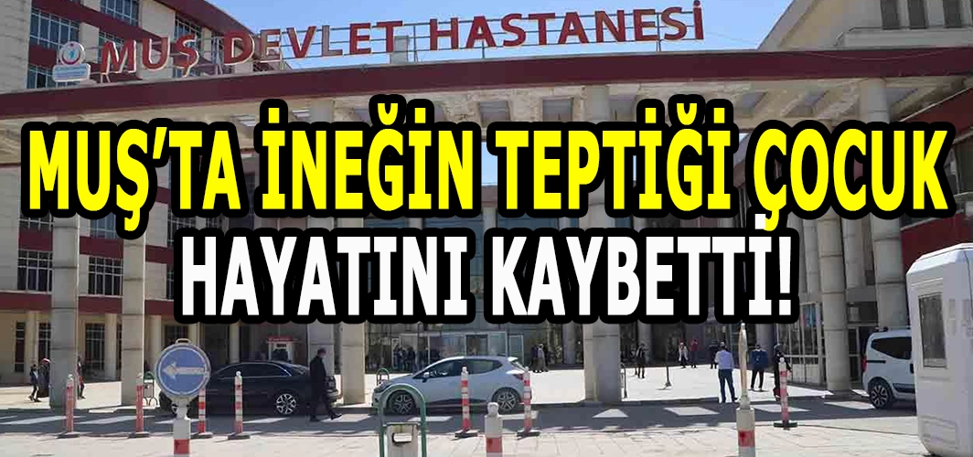 Muş’ta ineğin teptiği çocuk hayatını kaybetti!