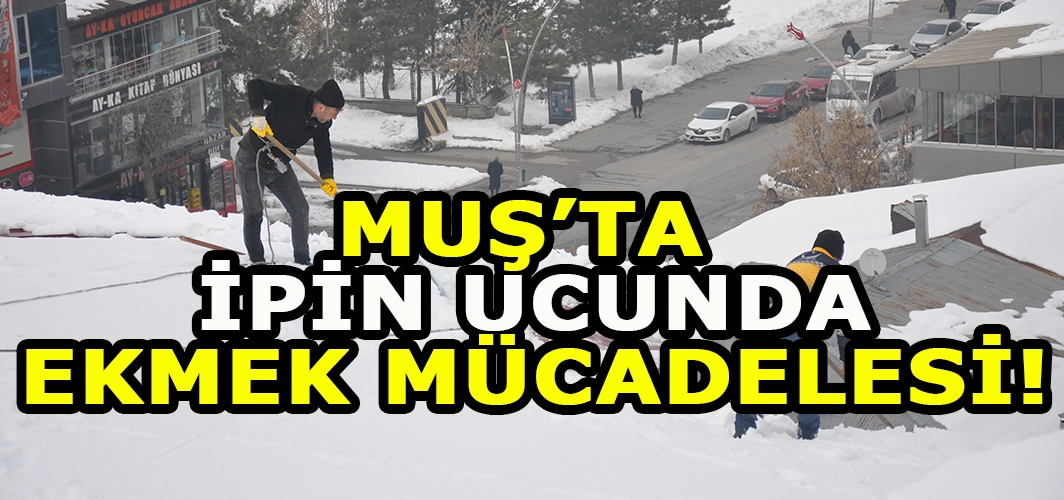 Muş'ta ipin ucunda ekmek mücadelesi: Hayatları bir ipe bağlı!