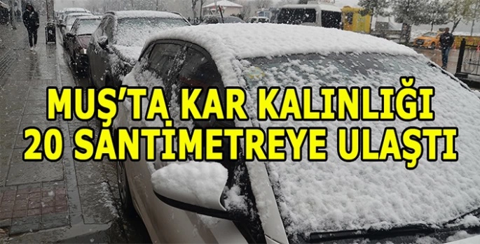 Muş kar yağışı etkili oldu: Kar kalınlığı 20 santimetreye ulaştı!