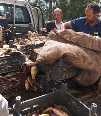 Elazığ’da kaçak avlanan 700 kilogram sazan balığı ele geçirildi