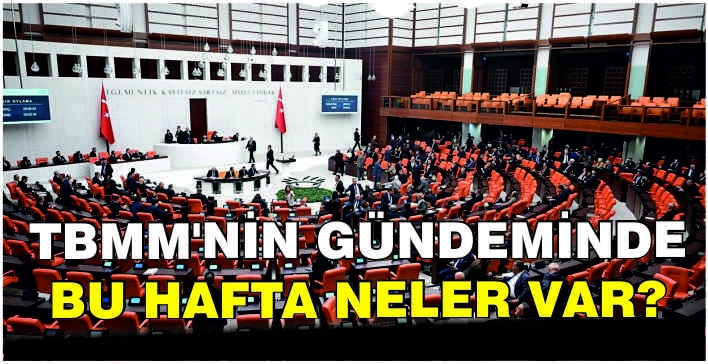 TBMM'nin gündeminde bu hafta neler var?