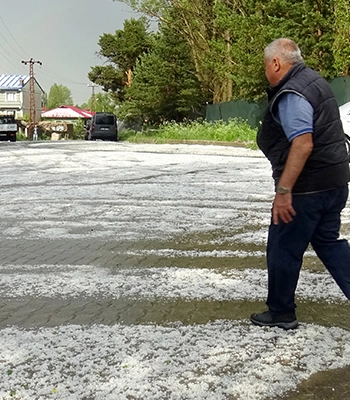Kars'ın Sarıkamış ilçesinde sağanak ve dolu etkili oldu
