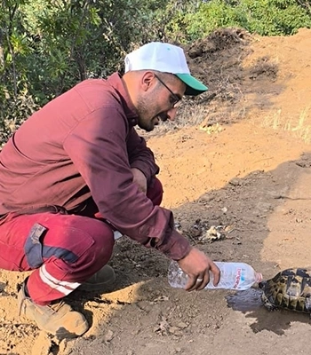 Bingöl'de çıkan orman yangınları kontrol altına alındı