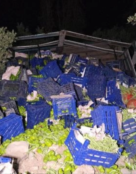 Kamyon devrildi, 10 ton biber etrafa dağıldı
