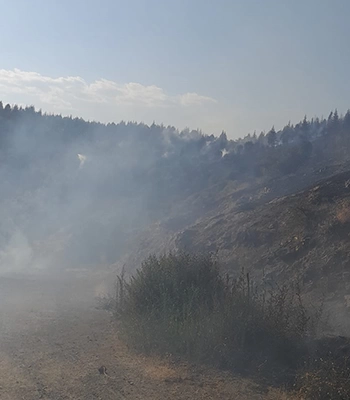 Malatya'nın Pütürge ve Doğanyol ilçelerindeki orman yangınları kontrol altına alındı