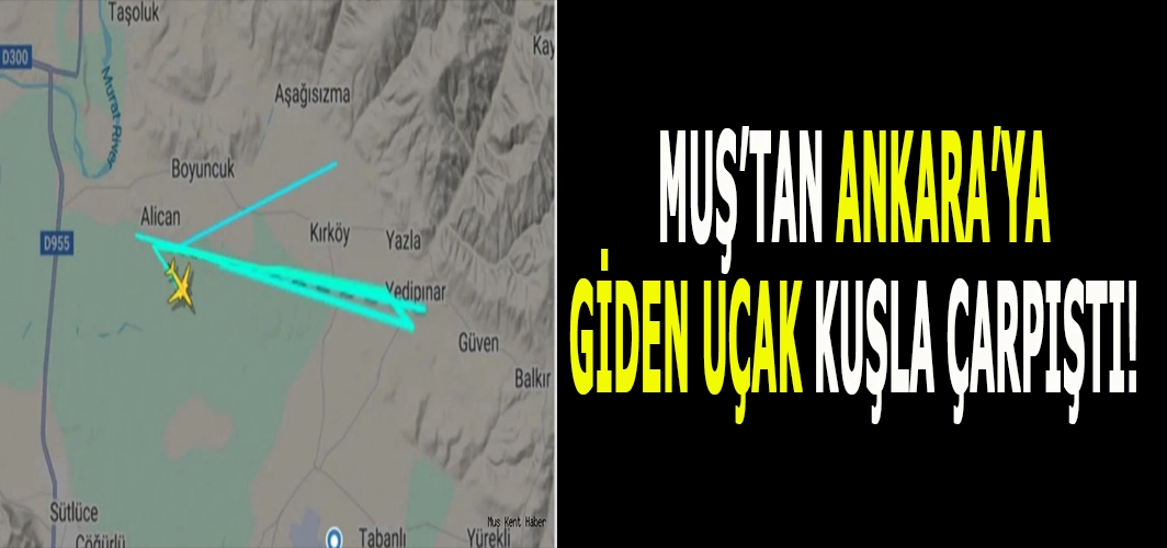 Muş’tan Ankara’ya giden uçak kuşla çarpıştı: Sefer ertelendi!