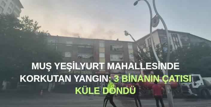 Muş Yeşilyurt Mahallesi'nde korkutan yangın: 3 binanın çatısı küle döndü