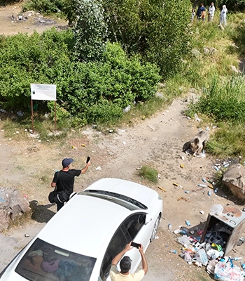 Nemrut Kalderası'ndaki bozayılar dronla görüntülendi
