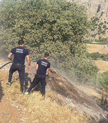 Tunceli'de ormanlık alanda çıkan yangın söndürüldü