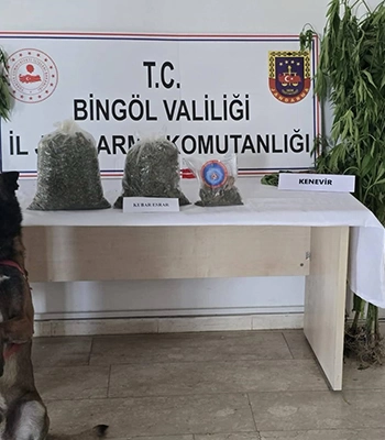 Bingöl'de 9 kilo 38 gram uyuşturucu ve 279 kök Hint keneviri ele geçirildi