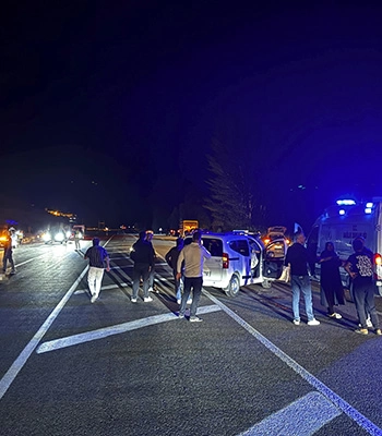 Bingöl'de ata çarpan hafif ticari araçtaki 1 kişi hayatını kaybetti
