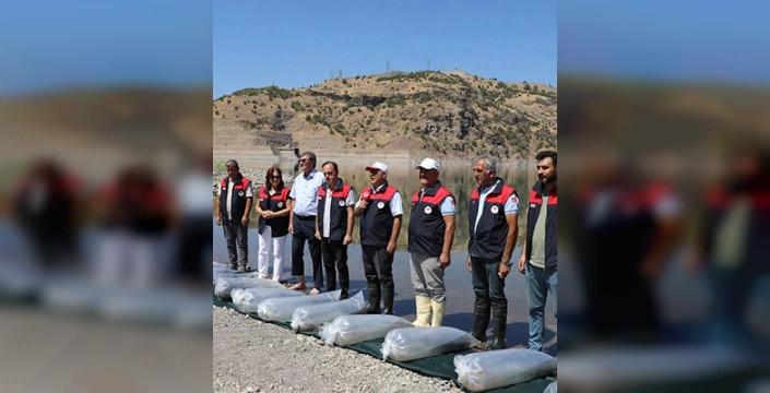 Elazığ'da üretilen 17 milyon yavru sazan iç sularla buluşturulacak