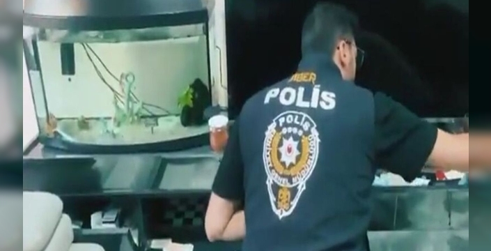 18 ilde büyük operasyon: 55 tutuklama, 341 milyon TL'lik el konma