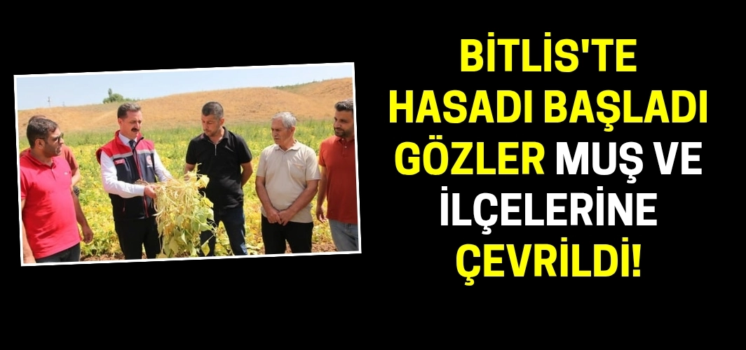 Bitlis'te hasadı başladı gözler Muş ve ilçelerine çevrildi!