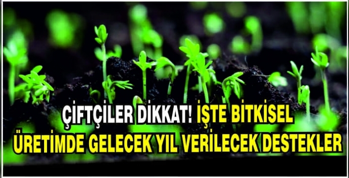 Çiftçiler dikkat! İşte bitkisel üretimde gelecek yıl verilecek destekler