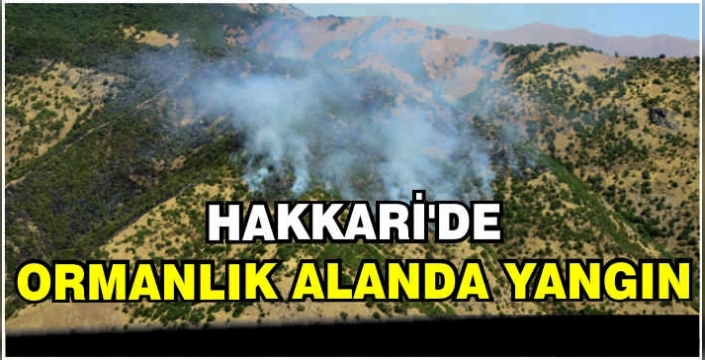 Hakkari'de ormanlık alanda yangın