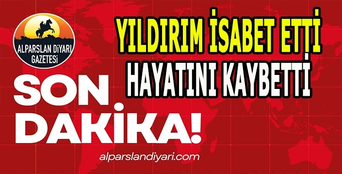 Son dakika: Iğdır'da hayvan otlatırken yıldırım isabet eden genç öldü
