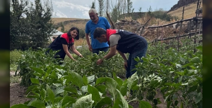 Kars'ta sebze fidesi projesi: Üreticilere destek ve denetim