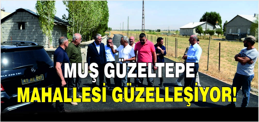 Muş Güzeltepe Mahallesi güzelleşiyor!