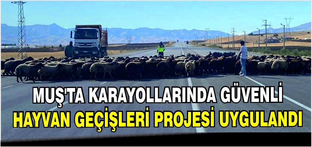 Muş’ta Karayollarında Güvenli Hayvan Geçişleri Projesi uygulandı