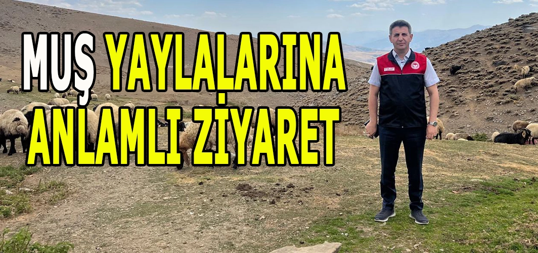 Muş yaylalarında alın teri: Göçerlere moral ziyareti!