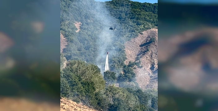 Tunceli'de çıkan orman yangını kontrol altına alındı