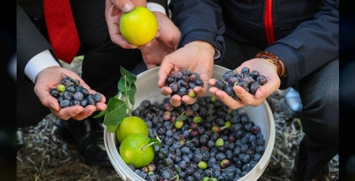 Artvin'de lezzet ödüllü