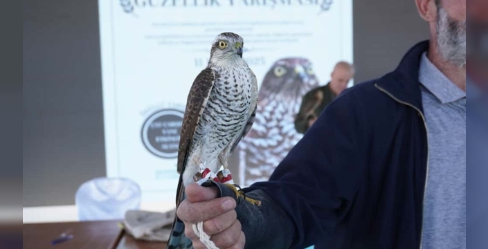 Atmaca güzellik yarışması Rize'de büyük ilgi gördü