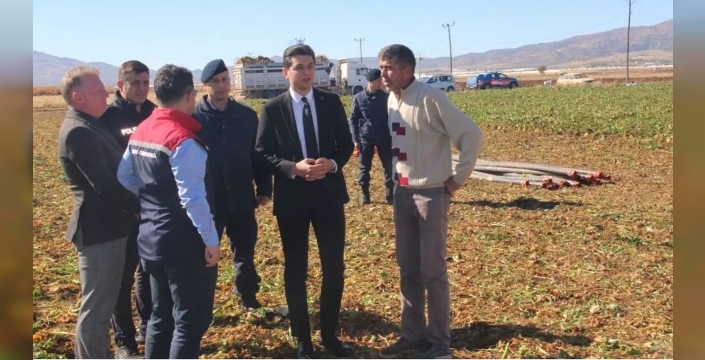 Burdur Tefenni Ovasında pancar hasadı: Üreticiler yüksek verimle seviniyor!