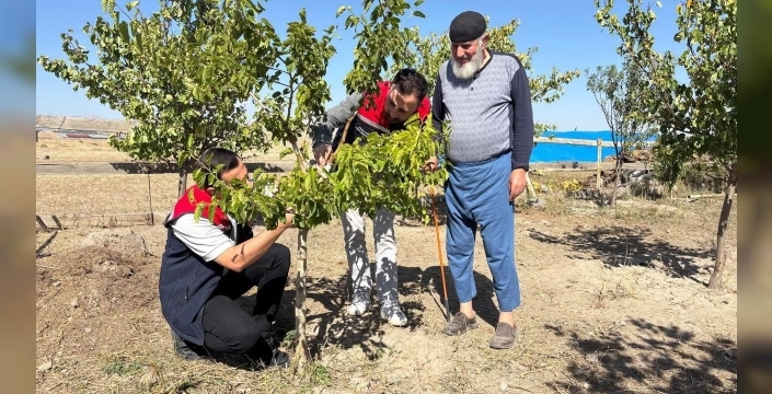 Digor'da durgun T göz aşısı sonrası saha çalışması yapıldı