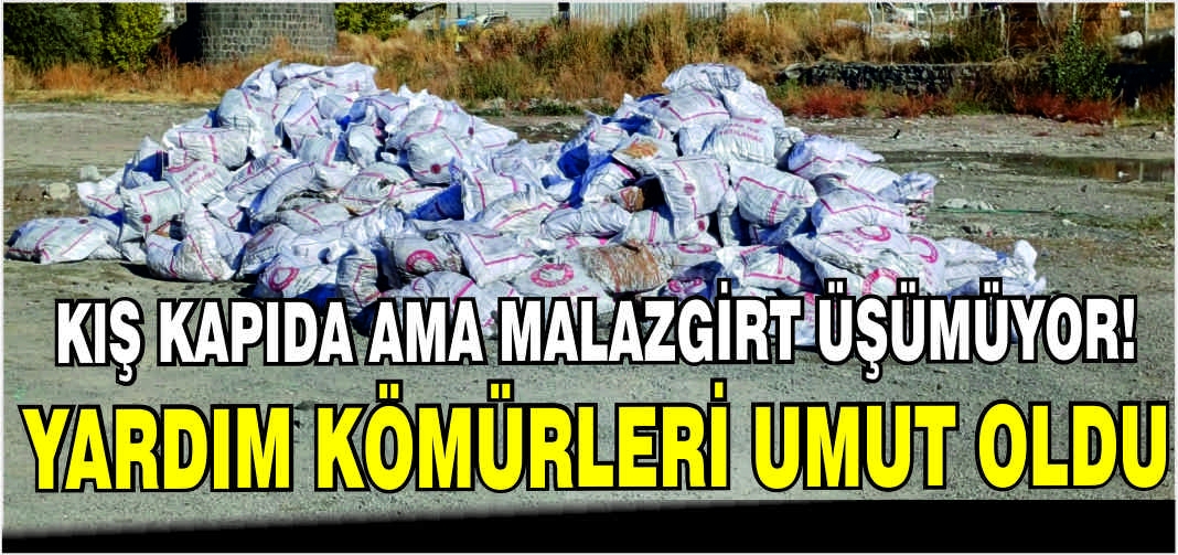 Kış kapıda ama Malazgirt üşümüyor! Yardım kömürleri umut oldu