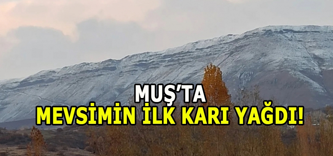 Muş’ta mevsimin ilk karı düştü!