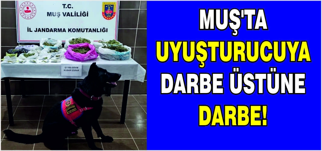 Muş'ta uyuşturucuya darbe üstüne darbe!