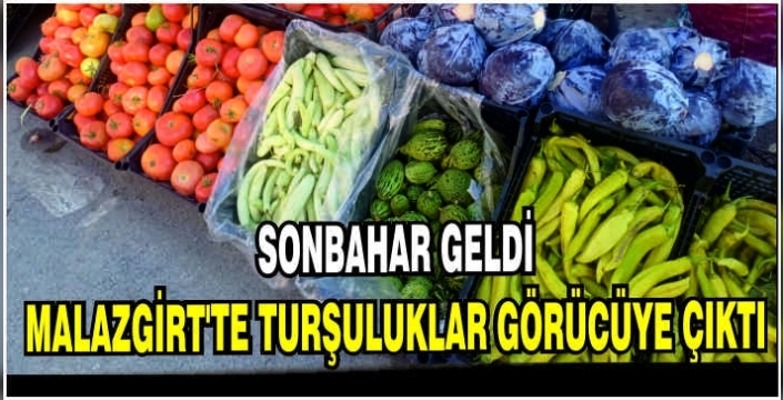 Sonbahar geldi, Malazgirt’te turşuluklar görücüye çıktı