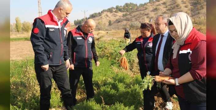 Bahşılı'nın gizemli havucu: Toprak ve suyun büyüsüyle eşsiz aroma!