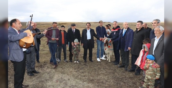 Kars'ın bereket simgesi koçları sürüye katıldı: Kadim gelenek görsel bir şölene dönüştü!