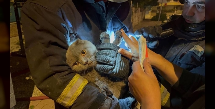 Konyaaltı'nda alevlerden dört nala kurtuluş: Anne, oğul ve patili dostun nefes kesen mücadelesi!