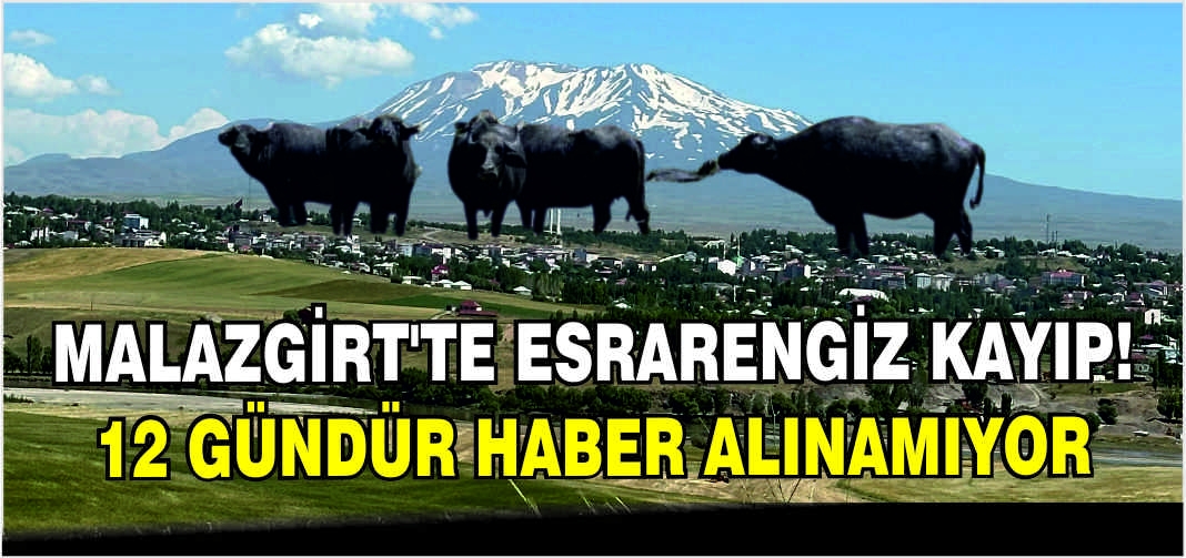 Malazgirt’te esrarengiz kayıp! 12 gündür haber alınamıyor