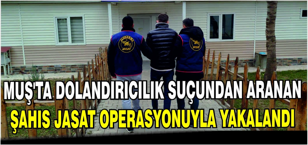 Muş’ta dolandırıcılık suçundan aranan şahıs JASAT operasyonuyla yakalandı