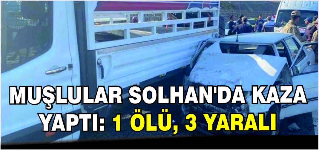 Muşlular Solhan’da kaza yaptı: 1 Ölü, 3 yaralı