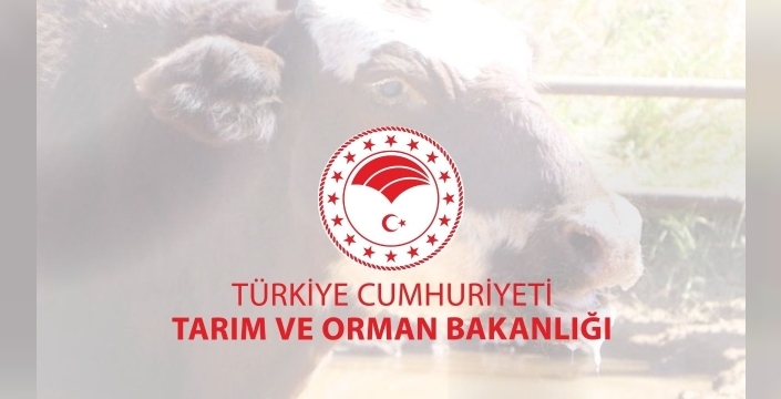 Şap hastalığında Türkiye'den tarihi başarı: Aşılama oranı yüzde 92'ye ulaştı